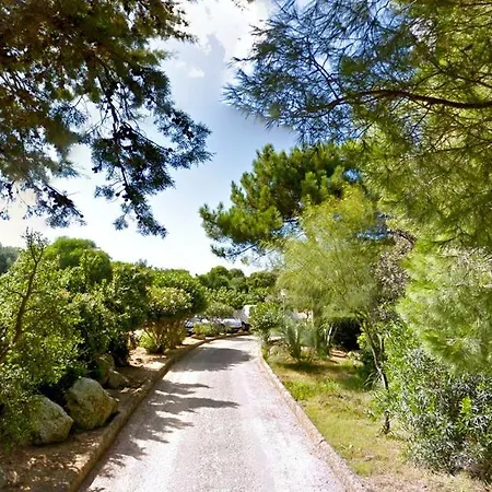 Capanna Nello Apartmán Lumio (Corsica)